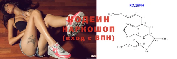 крисы Новодвинск