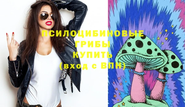 spice Алзамай