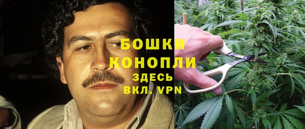 spice Алексеевка